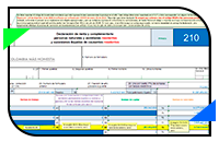 formulario-210-2-1